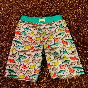 Boys Cat and Jack shorts